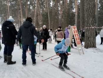 Соревнования по лыжным гонкам.