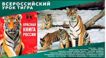 Всероссийский урок тигра.