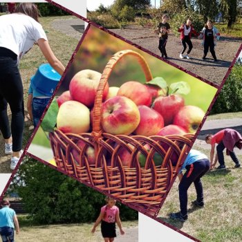 Зоологические забеги.