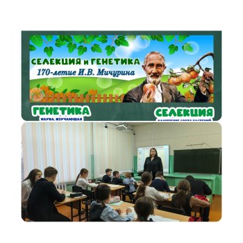 Разговоры о важном.