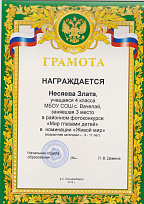Грамота отдела образования Сосновоборского района